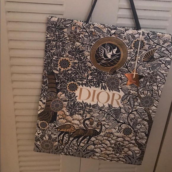 Diorama Dior Bag - Picture 14 of 14